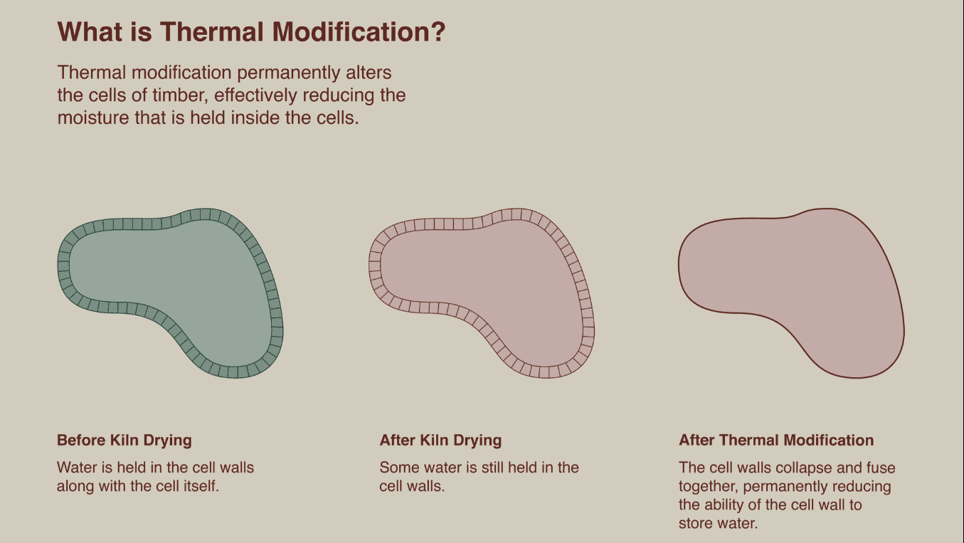 This image breaks down the process of thermal modification, showing the cellular structure before kiln drying, after kiln drying and after thermal modification.